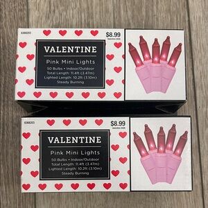 VALENTINE Pink Mini String Lights